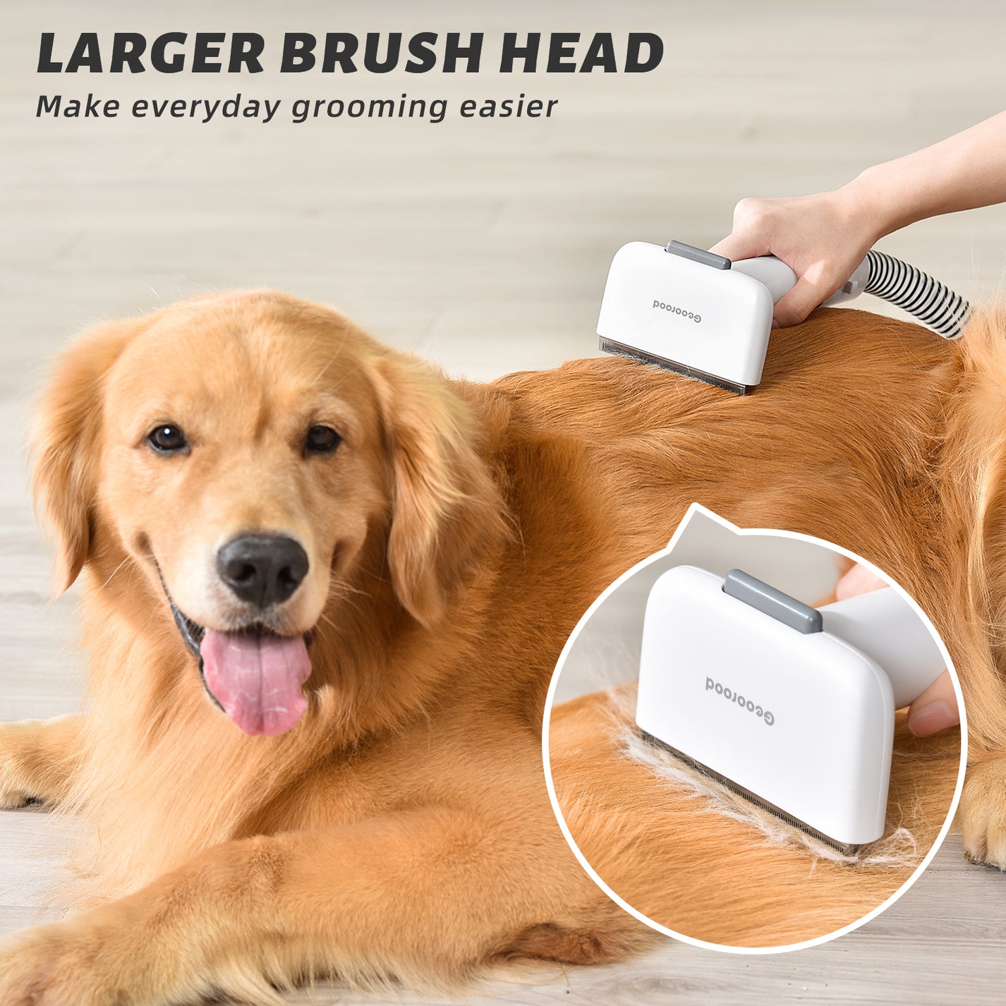 Pet Groomers For Large Dogs Prices